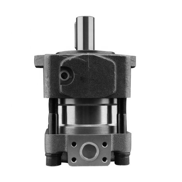 Quality QT5223 QT5242 Crawler Excavator Gear Pump QT2222 QT4123 QT4133 QT5222 wholesale