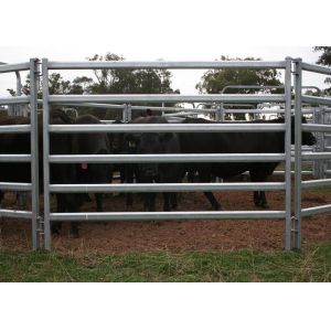Galvanized Cattle Yard Panels Oval Tube 40x60mm With 1.5 Thickness For Farm