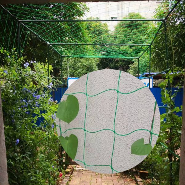 Garden Yard Green 1.8m2 Plastic Climber Plant Supporting Net