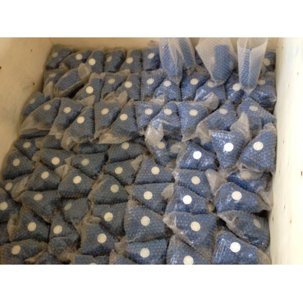 Quality ANSI y strainer threaded ends wholesale