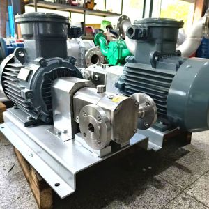 Practical SS304 Sanitary Lobe Pump , 600Rpm Sanitary Positive Displacement Pump