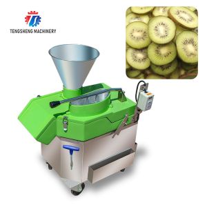 1000KG/H 80KG Vertical multi-function vegetable slicer balanced onion slicer