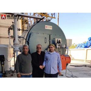 Horizontal Natural Gas Steam Boiler 4Thr For Pasteurized Milk