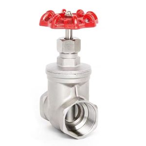 Customization Gate Valve and Customized Request for 304 Stainless Steel Thread