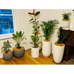 Powder Coated Finish Fiber Clay Planters Fibre Clay Flower Pots