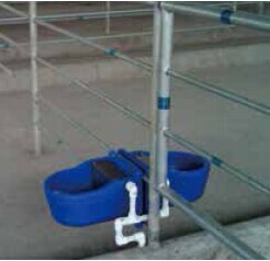 LLDPE 9.3L Cow Drinking Livestock Auto Waterer Impact Resistant