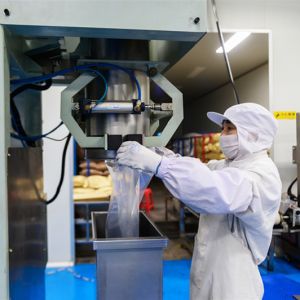 GMO Free Dehydrated Garlic Powder 80mesh 100mesh In Low Bac