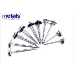 Collated Galvanized Hot Dipped Roofing Nails With Smooth Shank