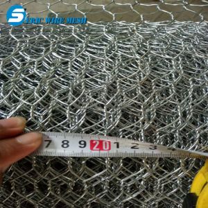 Dingzhou Factory, Hexagonal Wire Mesh, Chicken Wire Mesh