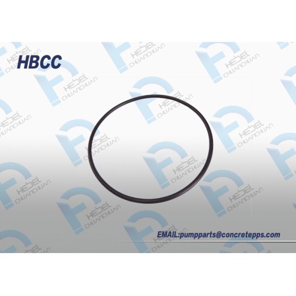 Concrete pump clamp use rubber O ring for sealing D type C type for FM flange SK