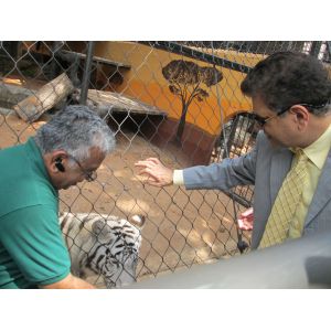 AISI 316 Black Oxide Wire Rope Mesh For Zoo Theme Park Design CE Certificated