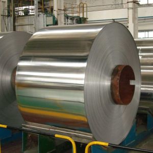 ASTM B209 AA5251 5251 Alloy Aluminum Coil Chinese Supplier