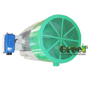 Cheap Insulation Class F/H Permanent Magnet Generator Rated Rotor Speed Of 20-3000RPM 220V 690V Voltage for sale