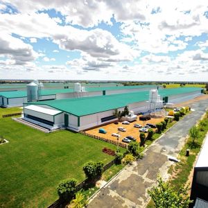 Q235 Q345 Steel Structure Chicken House Farm Poultry Shed Construction