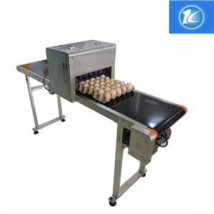 Cheap Egg Continuous Inkjet Printer Personalized Configuration Integrated Rack for sale