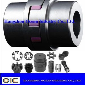 Stainless Steel Flexible Couplings with Bolt-on Installation Method Temperature