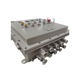 Customized Explosion Proof Control Panels distribution box With IP66 Protection