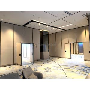 Foldable Partition Wall With Single Or Double Pass Door For Conference Room