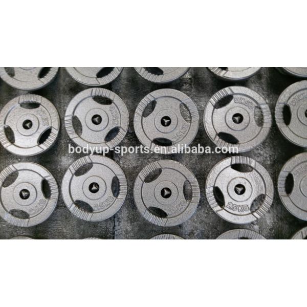 2-Inch Standard Grip Plates Cast Iron Weight Lifting Dics