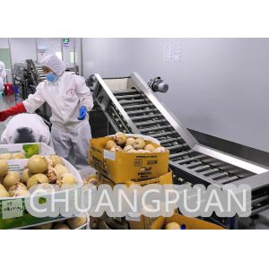 Coconut Processing Machine|Turn Key Customize 1-20T/h Coconut Water Production
