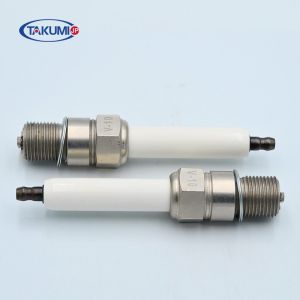 Natural Gas Generator Spark Plug For Jenbacher 1214569 /518