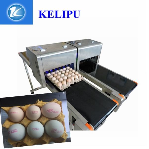 Computer Control Date Coding Printer With Special Shuttle Transmission Device