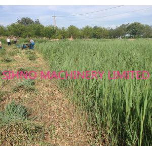 Automatic Forage Grass Reaper Binder,