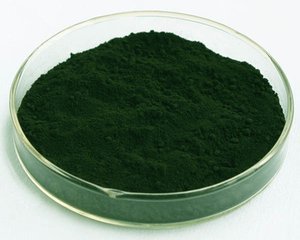 100% Chlorophyllin oil soluble extracted from spinach leaf