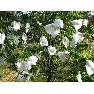 HDPE UV Insect Mesh Netting , Insect Fly Screen Mesh High Tensile Strength