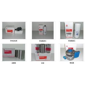 Fuel filter for Weifang Ricardo Engine CX0708,CX0710B4