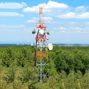 30-60m Self-support Galvanized Steel Telecom BTS Tower or Mast Complied with