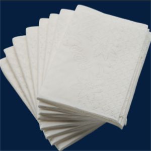 Absorbent Calcium Silver Alginate Wound Dressing Sterile Latex Free