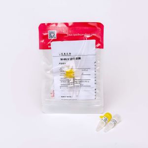 Colourless Appearance M-MLV Reverse Transcriptase In PCR R1041