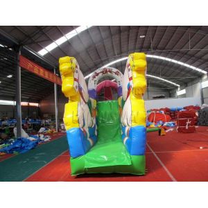 Beautiful Commercial Inflatable Water Slides , Carriage Style Blow Up Water