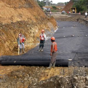 Geomembranes Project Solution Capability Durable Prefabricated Smooth for Fish