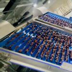 1.4 Tons Per Hour 6-Lane Optical Date Sorting Machine – High Precision & Defect