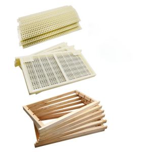 Apicultural Tools Plastic Queen Bee Frame Honey Bee Box Beekeeper Tool No Graft