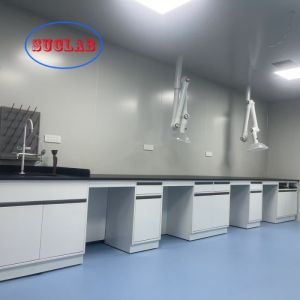Multi-Functional Socket Chemistry Lab Bench  Agency with DTC 105°/175° Hinge Stainless Steel Hinge and Epoxy Resin Sink