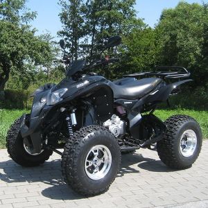 High Speed Utility Vehicles ATV 250cc Extra Large CDI Electric Start System /