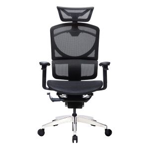 Double Back Ergo Mesh Back Office Chair Ergonomic Executive Swivel