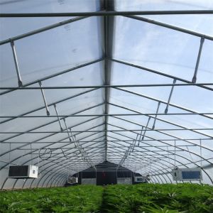 Automatic Outside Shading Light Deprivation System Greenhouse OEM