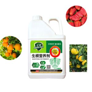 Alginate Plant Roots Seaweed Extract Fertilizer To Promote Plant Growth