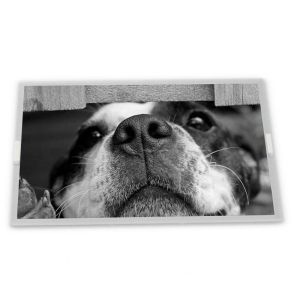 Cheap Custom ODM 15.0-Inch AA150XN09 WLED LCD Display Module with 1024*768 Resolution for New Vehicles for sale