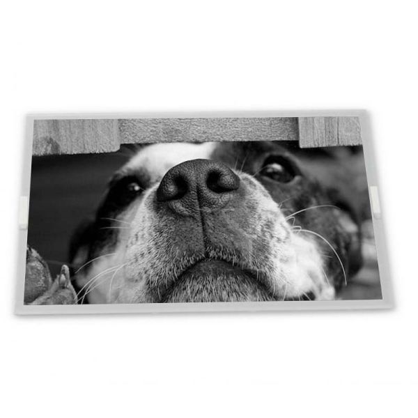 Custom ODM 15.0-Inch AA150XN09 WLED LCD Display Module with 1024*768 Resolution