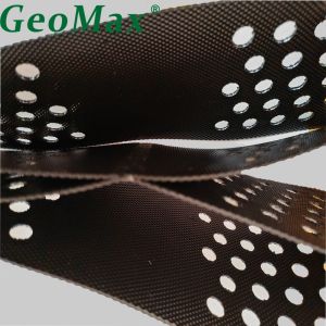GM445 HDPE Geocell 200mm Height 1.5mm Thickness System for Road and Railway