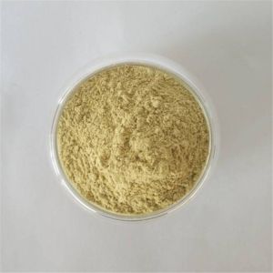 GMP Factory Detoxification Mung Bean Sprout Extract