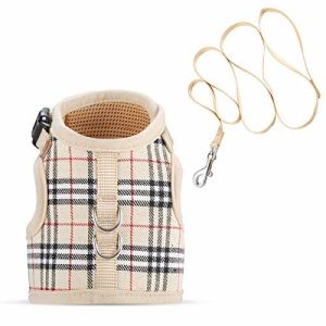 Adjustable Soft Mesh Cat Harness Vest And Leash Set Padded Lining Snug - Fit