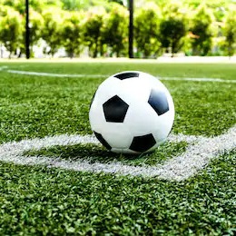 Quality 2 Years Warranty Courtyard Garden Artificial Grass Turf For Pet Friendly Spaces wholesale