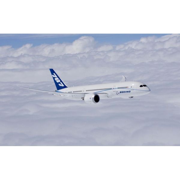 Dhl DDP International Shipping Ddp Services Warehouse Packaging From Shanghai China To Jordan