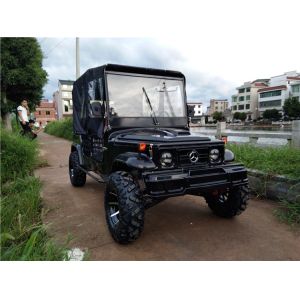 China 4 Seats 300cc Go Kart Water Cooled Electric / Kick Start With 1370mm Wheelbase on sale